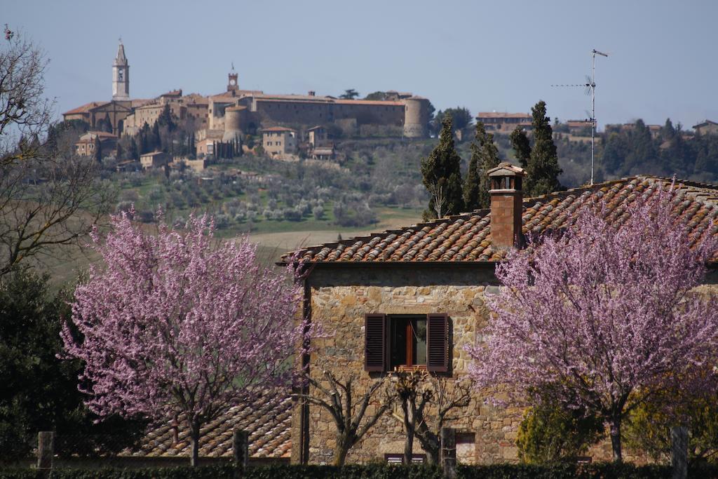 Agriturismo Casalpiano Pienza Bagian luar foto