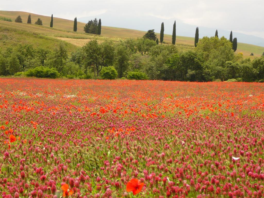 Agriturismo Casalpiano Pienza Bagian luar foto