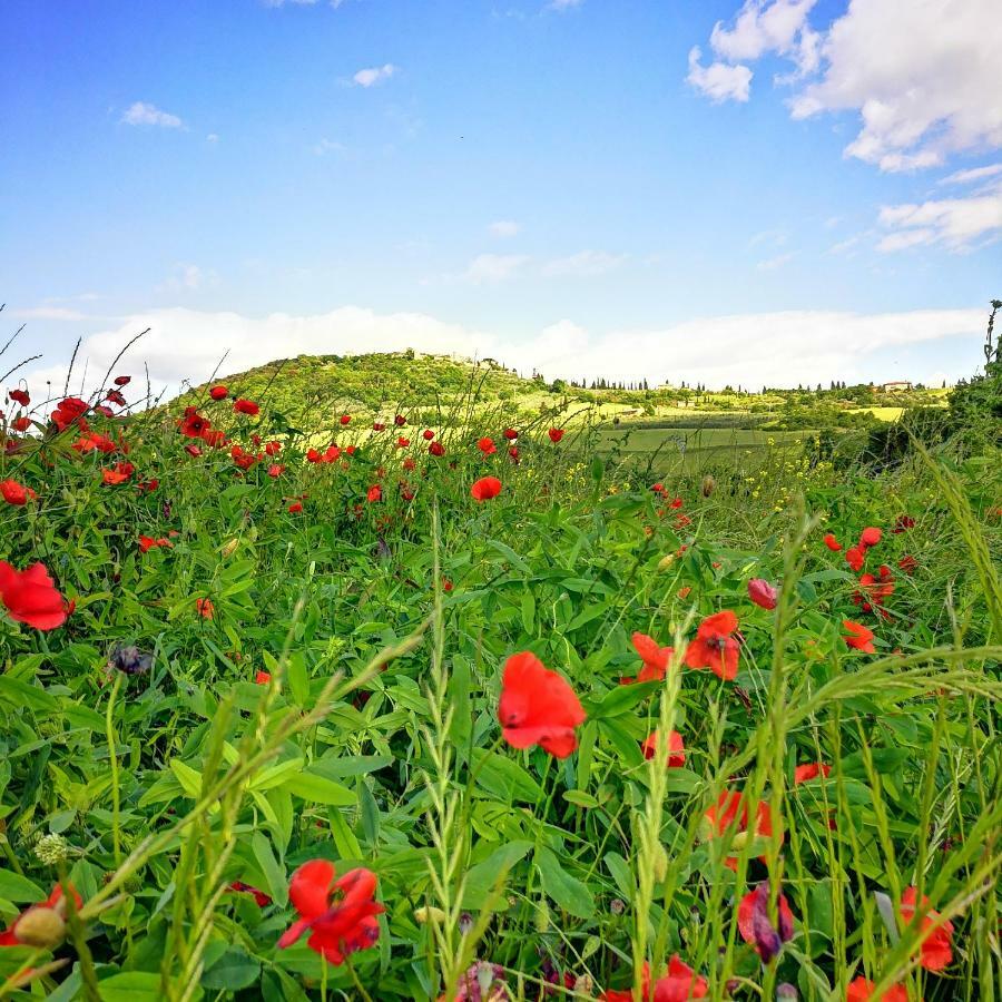 Agriturismo Casalpiano Pienza Bagian luar foto