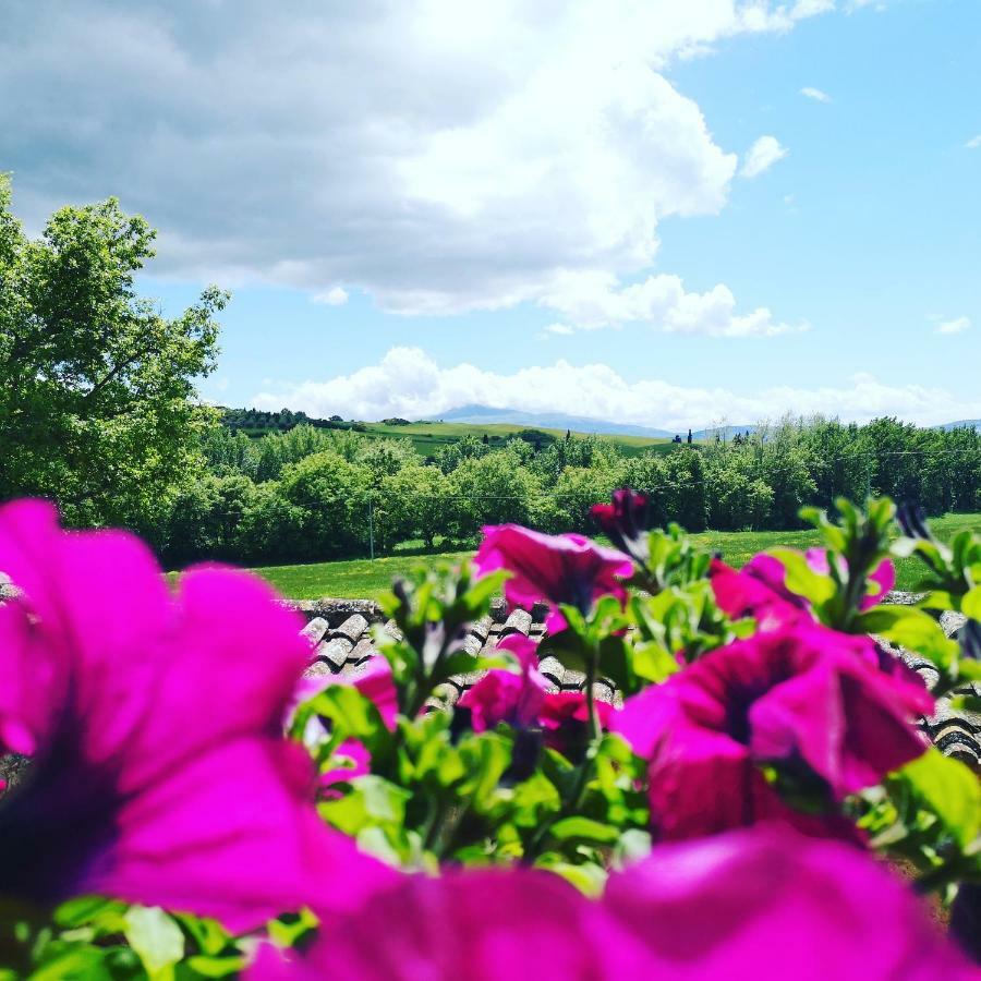 Agriturismo Casalpiano Pienza Bagian luar foto
